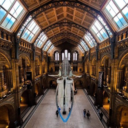 Die besten Museen in London