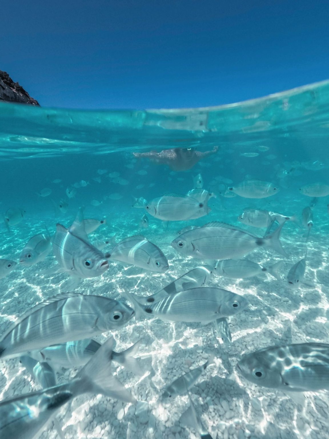 Die Besten Orte Zum Schnorcheln Auf Sardinien die-besten-orte-zum-schnorcheln-auf-sardinien