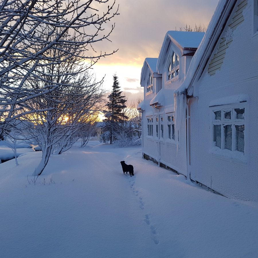 sauna Miðhraun Lava resort hotel in island auf Snæfellsnes