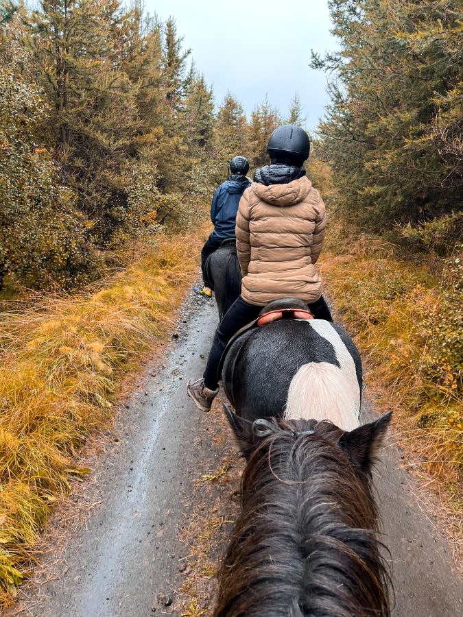 Reiten im Norden Islands