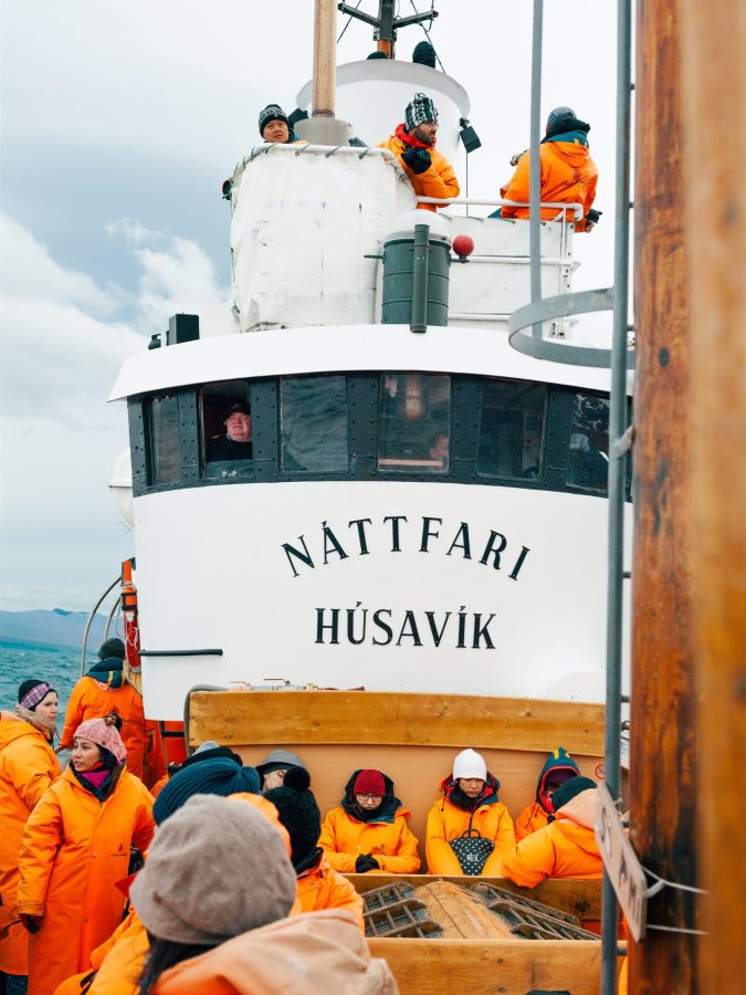 Walbeobachtung Húsavík Unsere Erfahrung